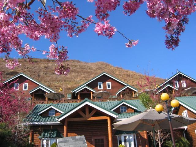 清境豐田桂林山莊民宿 Ren'ai Eksteriør billede